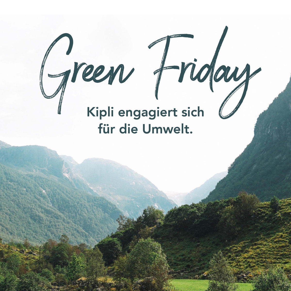Green Friday: Für einen verantwortungsvollen Konsum - Kipli