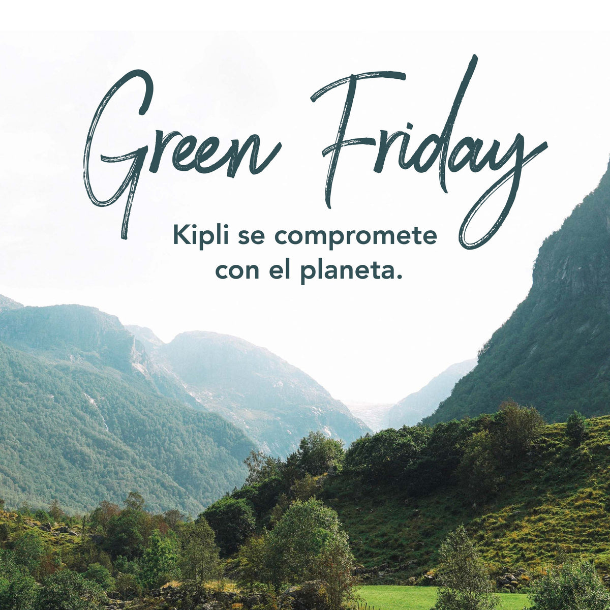 Green Friday: hacia un consumo responsable - Kipli