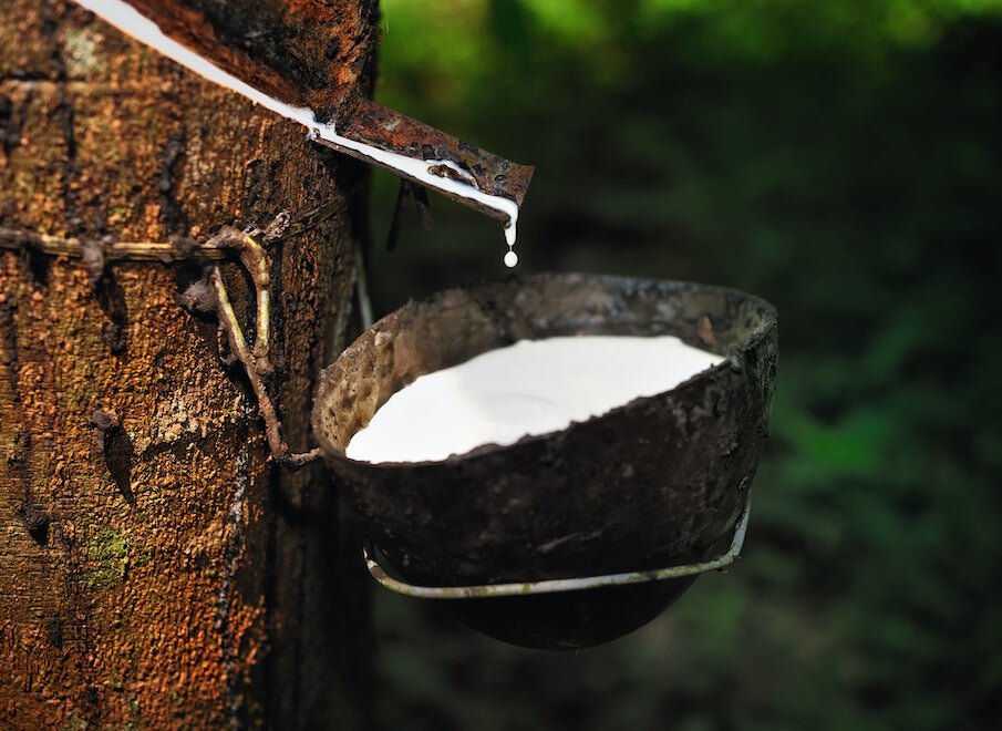El colchón de látex natural: las ventajas e inconvenientes - Kipli
