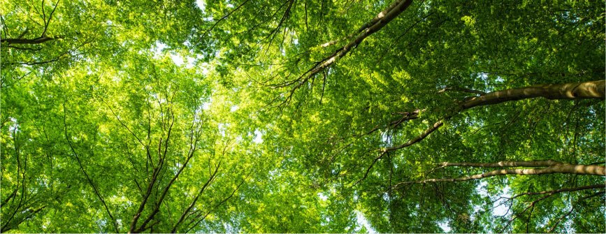 Green Friday : Une consommation responsable avec la planète - Kipli