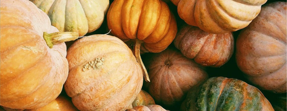 Les 5 news écolo du mois d'octobre - Kipli