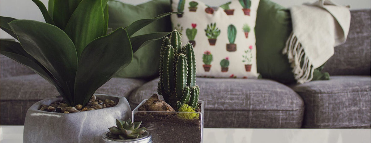 Sofa aus Viskose: Vor- und Nachteile – Kipli