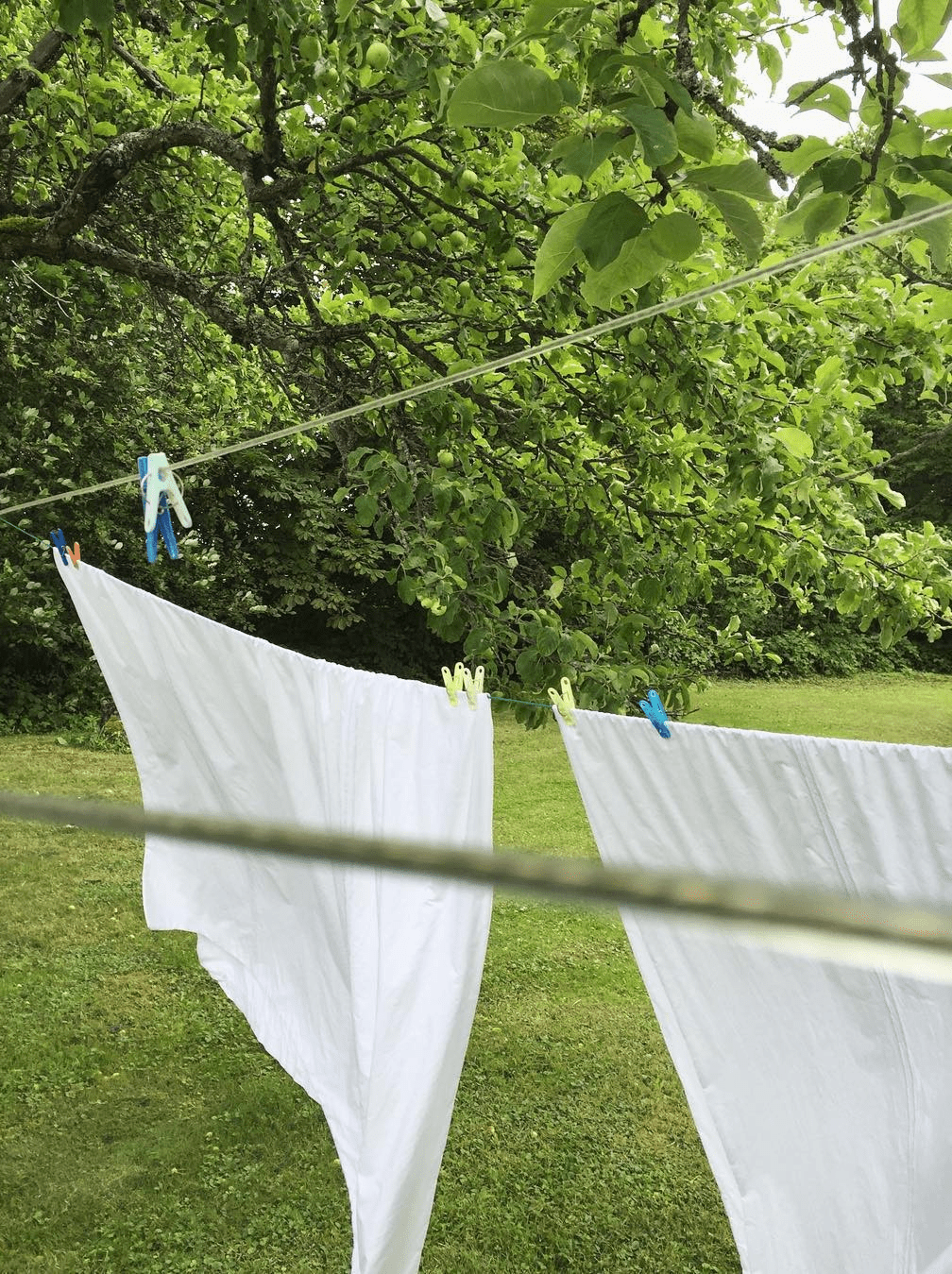 Weiße Baumwollbettwäsche, die im Freien in einem grünen Garten trocknet, als Beispiel für eine natürliche und umweltfreundliche Pflege von Haushaltswäsche.