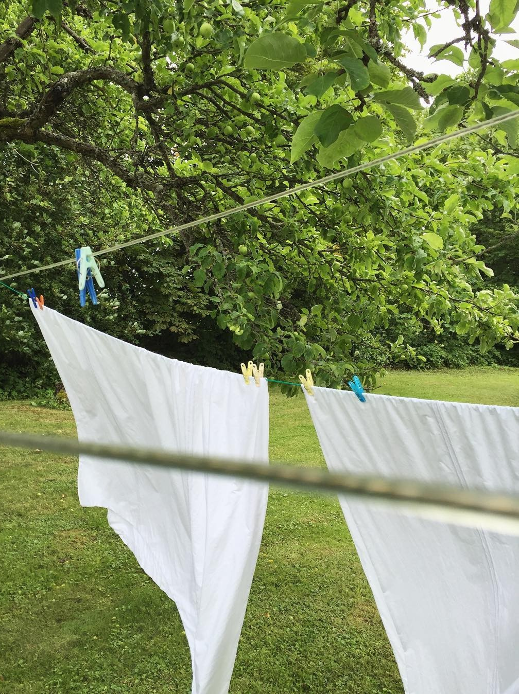 Weiße Baumwollbettwäsche, die im Freien in einem grünen Garten trocknet, als Beispiel für eine natürliche und umweltfreundliche Pflege von Haushaltswäsche.