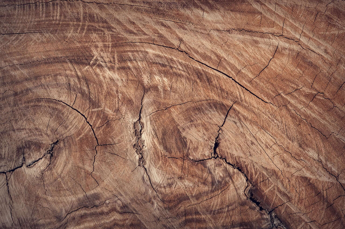 Eine Reise in die Welt der Holzarten: Die verschiedenen Holzarten für Möbel