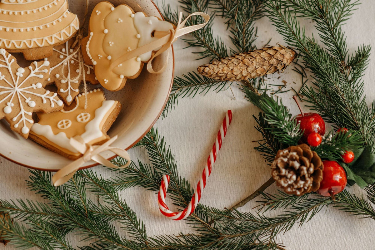 Ce Noël, gâtez aussi la planète - Kipli