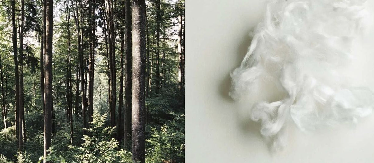 Le Tencel : cette fibre naturelle méconnue de votre couette - Kipli