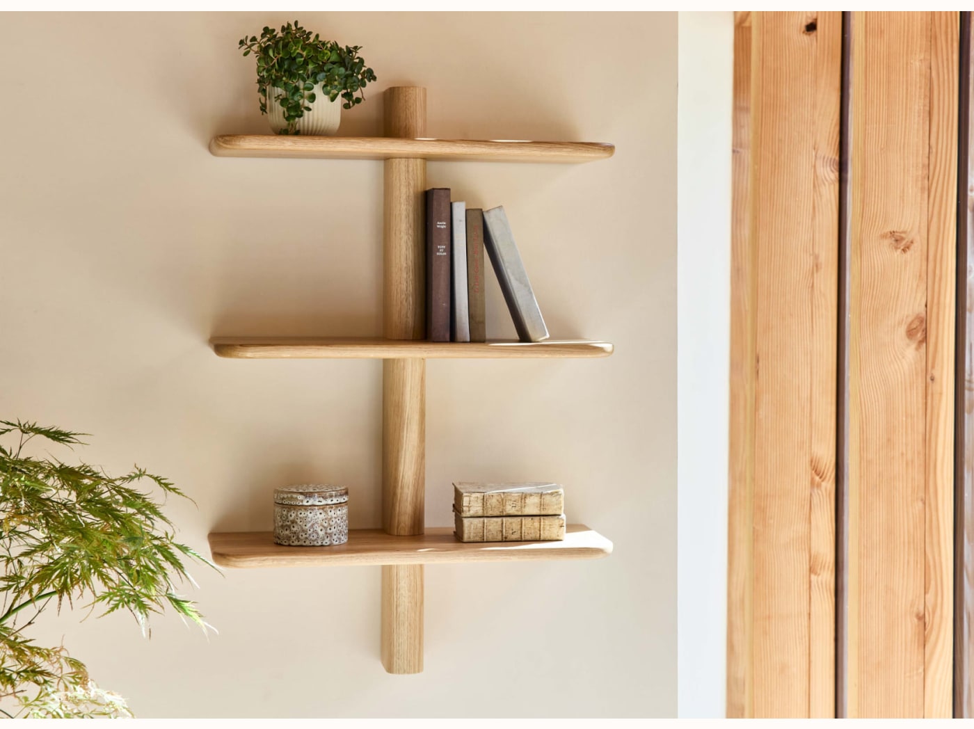 BAOBAB Solid Wood Wall Shelf - 3 Shelves