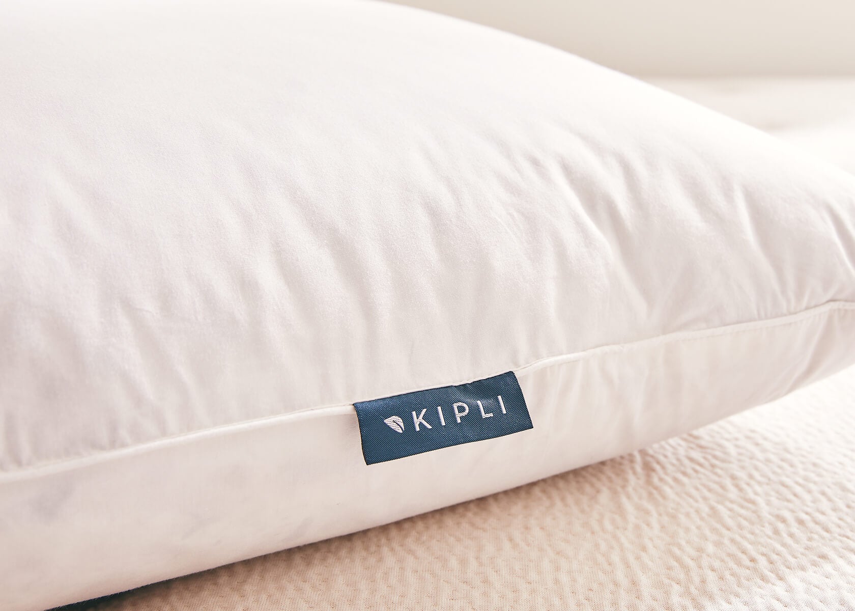 Oreiller en plumes et duvet