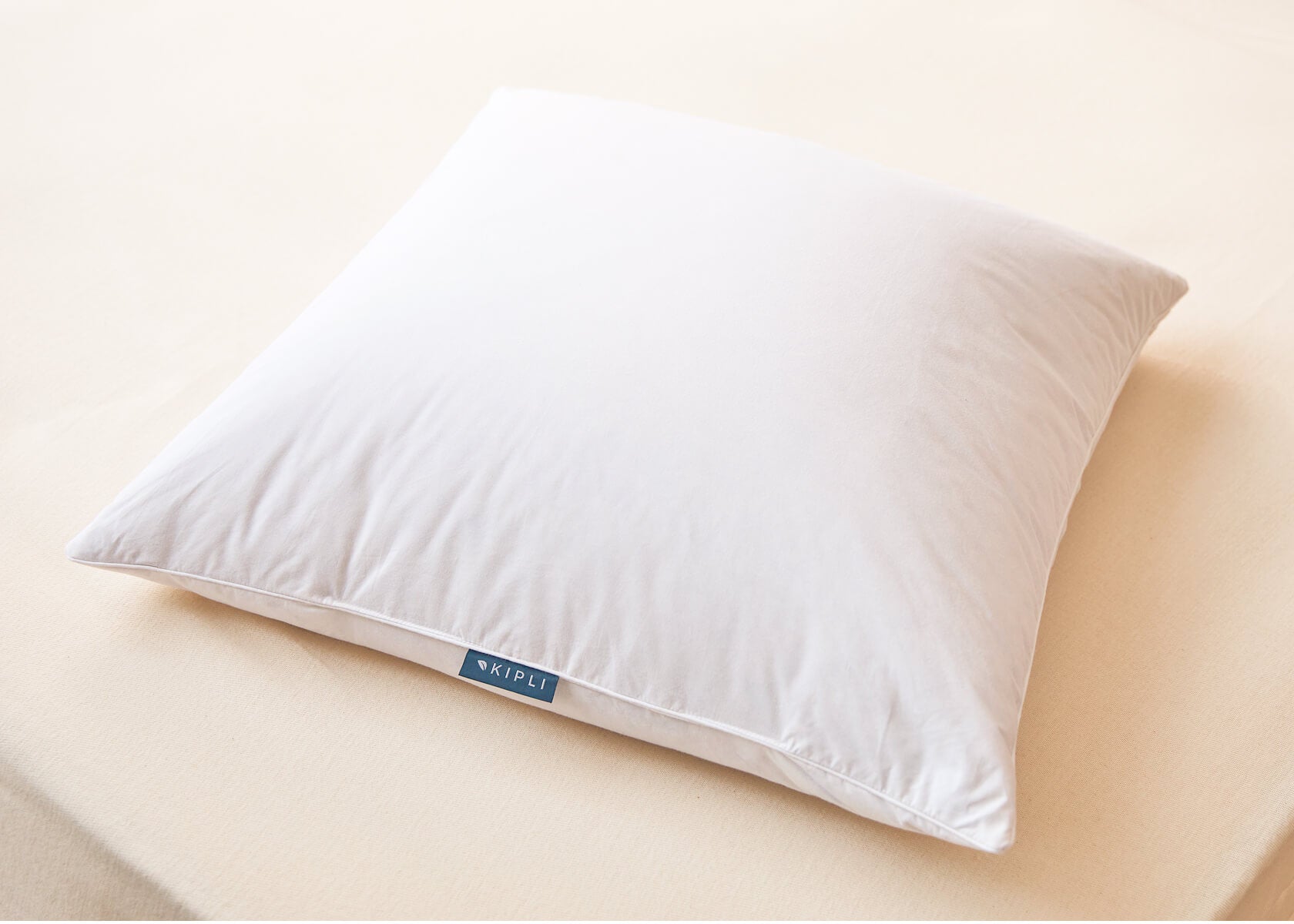 Oreiller en plumes et duvet