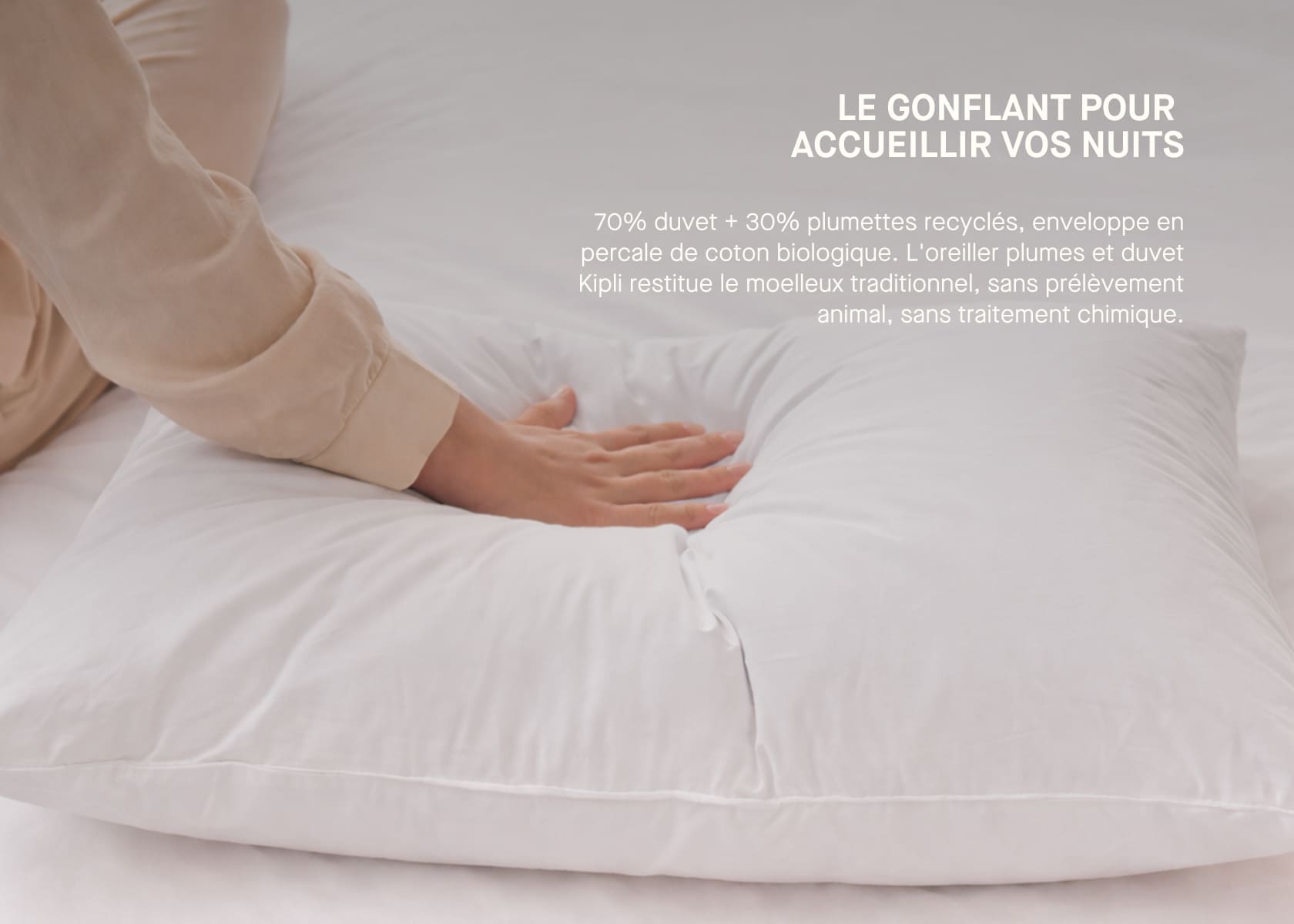 Oreiller en plumes et duvet