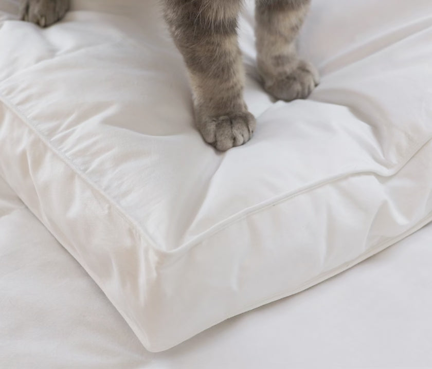 Charger la vidéo : Surmatelas en plumes et duvet